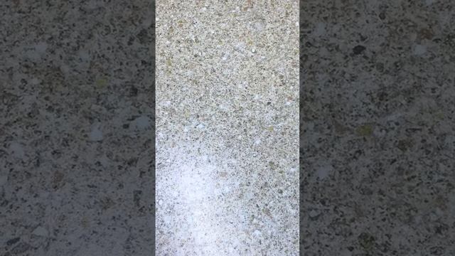 Век живи - век учись! Нашла способ, как легко и просто открыть перепелиные яйца смотреть онлайн