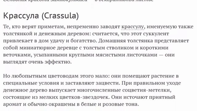 Кротон, строманта, диффенбахия и т. д. Представляете, они тоже цветут! смотреть онлайн