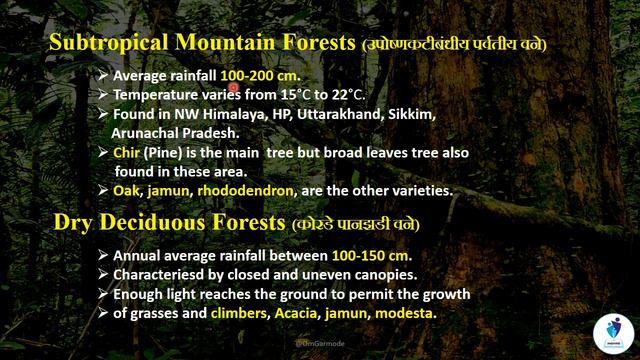 #Indian Forest | #भारतीय वने | #Types of Forest | #UPSC | #MPSC | #inspireinstitute смотреть онлайн
