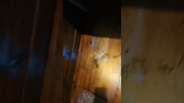 РЕСТАВРАЦИЯ ШКАФА. Шкаф которому 100 лет. смотреть онлайн