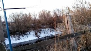 Сеть для ловли птиц с АлиЭкспресс