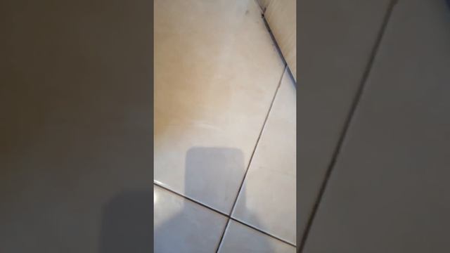 Ilife V8s - problem wet mopping смотреть онлайн
