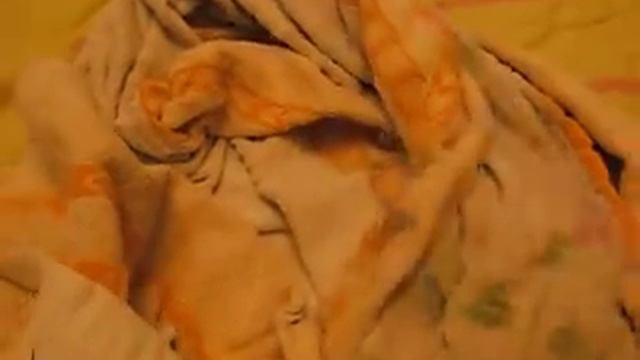 вытирается смотреть онлайн
