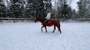 ТРЕНИРУЮ НОВИЧКА | УЧИМСЯ СЕДЛАТЬ ЛОШАДЬ