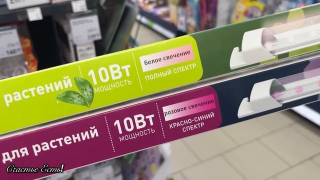 ?? В ФИКС ПРАЙС ПРИВЕЗЛИ ОТЛИЧНЫЕ НОВИНКИ❤️?? #fixprice #фикспрайс #счастьеесть смотреть онлайн