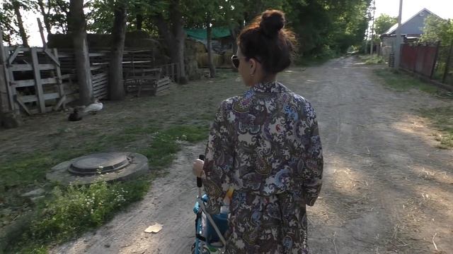 ЖИЗНЬ В ДЕРЕВНЕ / ВЕЧЕРНЯЯ ПРОГУЛКА / ПОКУПКИ / НА КУХНЕ / ВИНОГРАД / РОЗЫ / ХОРОШЕЕ НАСТРОЕНИЕ