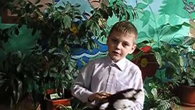 В.Орлов «Учёный кот» смотреть онлайн