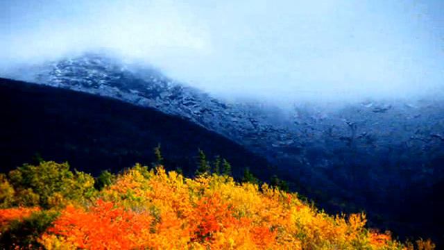 CATHERINE WALTZ with Bert-Germany keyboard accompaniment смотреть онлайн