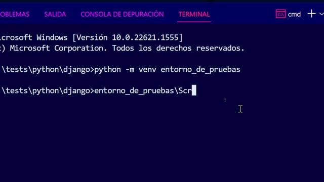 ¿Qué son los ENTORNOS VIRTUALES? ¿Cómo funcionan? - Máster en PYTHON #53 смотреть онлайн