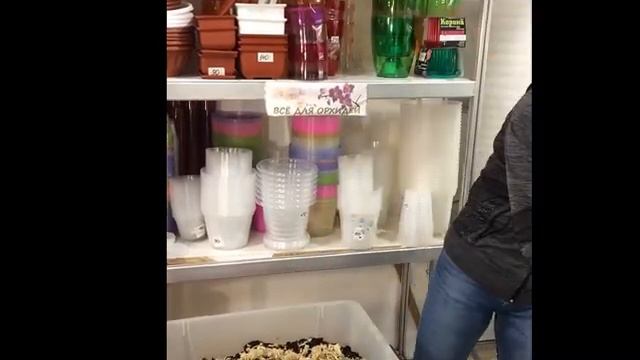 Составление грунта для фиалок смотреть онлайн