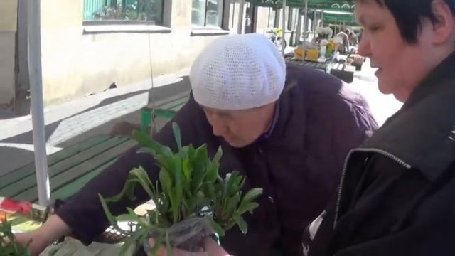 118. Моя вторая поездка на центральный рынок и на дачу. смотреть онлайн