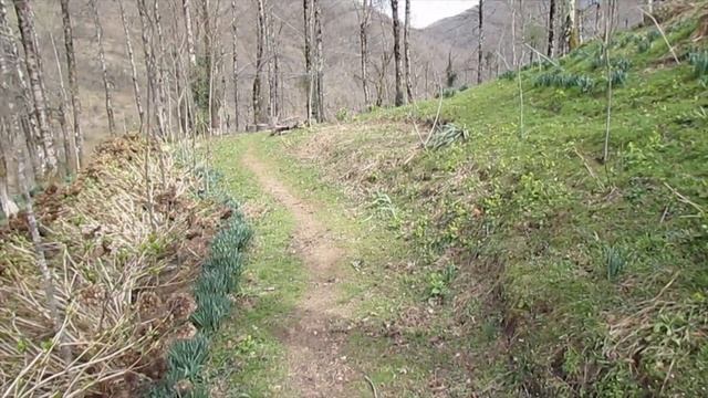 Вот и начались весенние работы