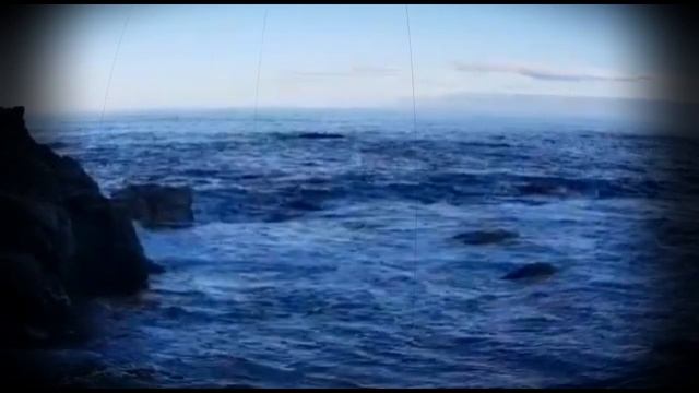 ЛИЛОВЫЙ ДЖО/Мышлявцев/2023 смотреть онлайн