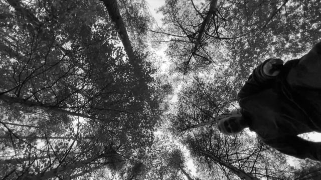 Прогулка с собакой до укрытия. смотреть онлайн