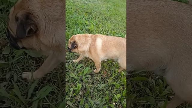 Lv_0_20230921123135.mp4