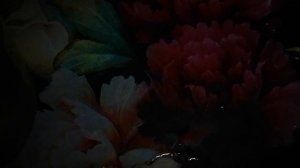 из за пару распущенных кос с оборванцем подрался матрос