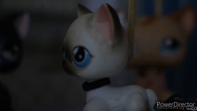 для канала 'LPS Sanches' Грей и Стефани шикардосная пара!!💞😾 смотреть онлайн