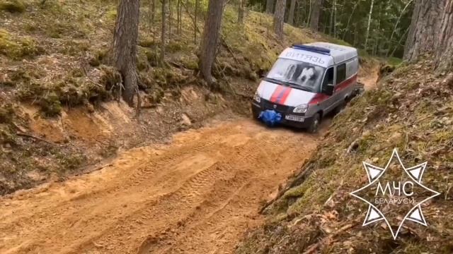 Вадим Синявский ознакомился с этапами практической части семинара по поиску людей в лесных массивах смотреть онлайн