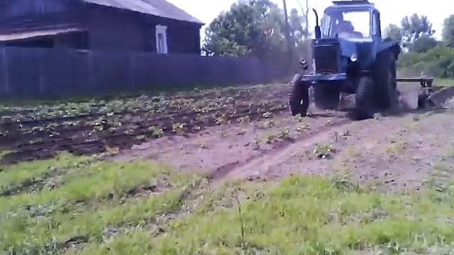 МТЗ 80 окучивает картошку часть 2 смотреть онлайн
