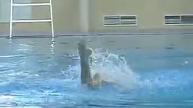 Первый день Открытого первенства СЗФО России смотреть онлайн