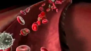 Узи сосудов шеи и головы