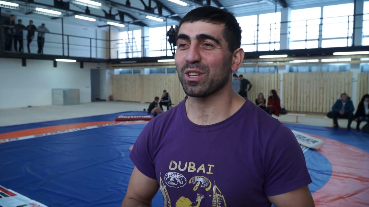 Старый волк в боях без правил смотреть онлайн