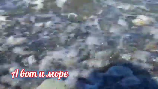 моё путешествие 1 часть/ (начало путешествия было 6 августа, конец 27 августа) 🍀✨🦈🌊 смотреть онлайн