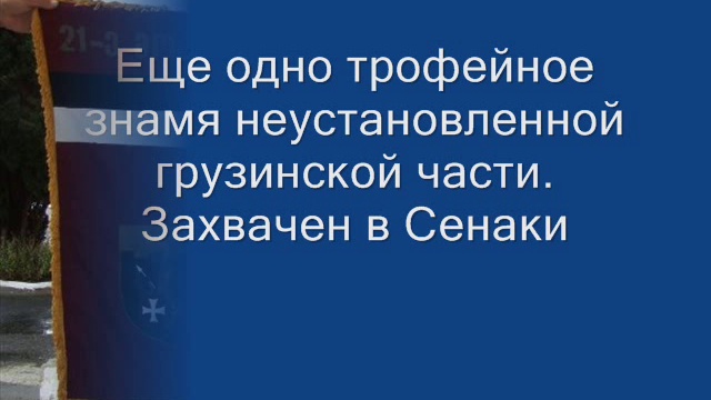 Трофейные грузинские знамена захваченные 58-й армией смотреть онлайн