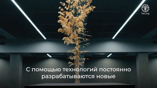 Международный день лесов 2024_ Леса и инновации - новые решения во благо более совершенного мира смотреть онлайн