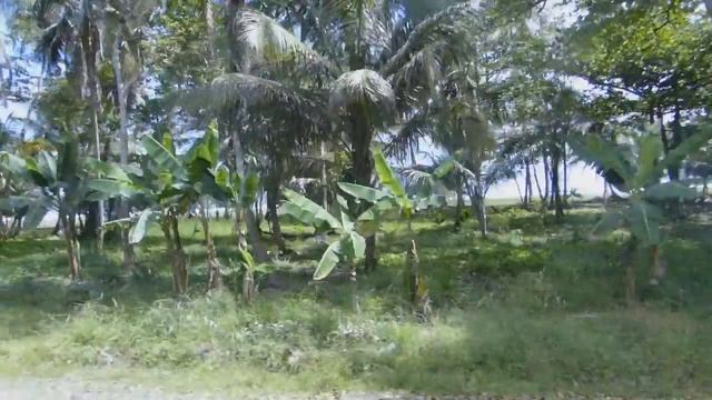 Costa Rica Land Tour - Puerto Limon Part I смотреть онлайн