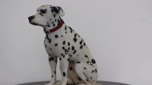 Dalmatian Dog Sculpture by Arty Lobster смотреть онлайн