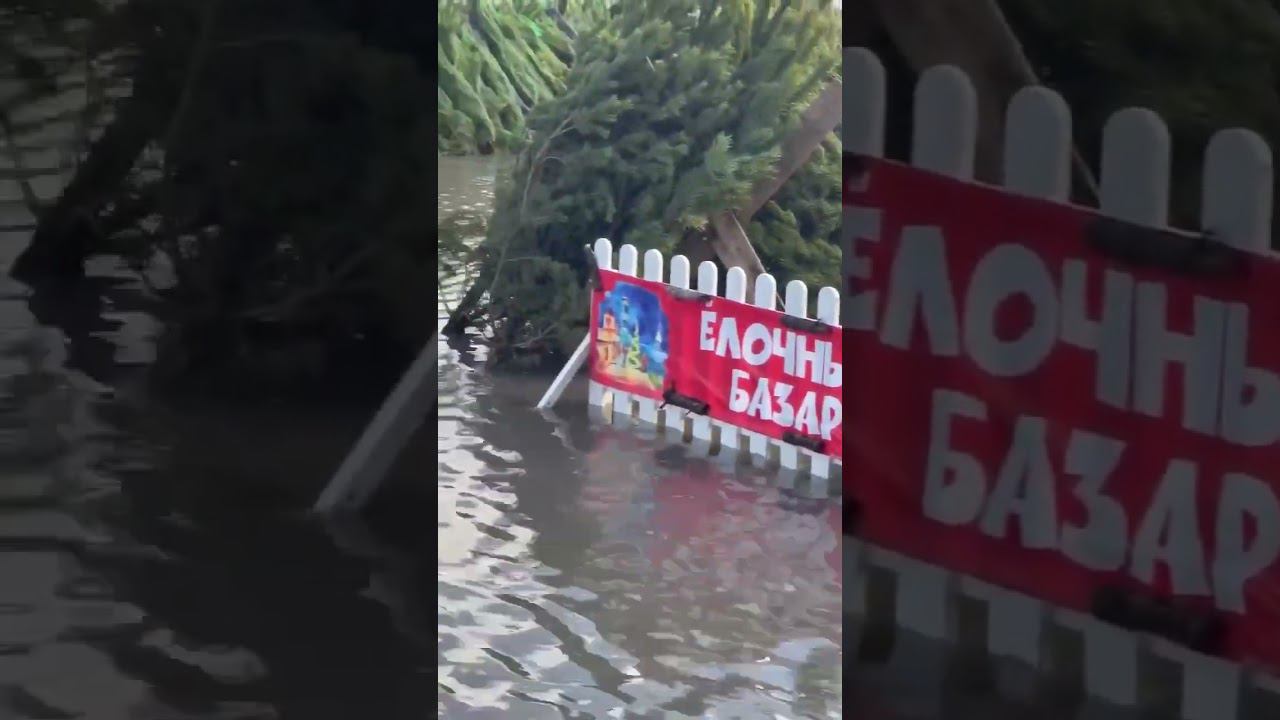 Анапа 23 декабря. смотреть онлайн