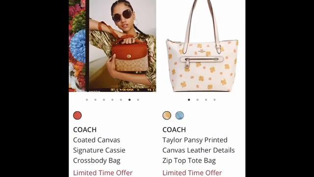 Y405 Много COACH на скидках. смотреть онлайн