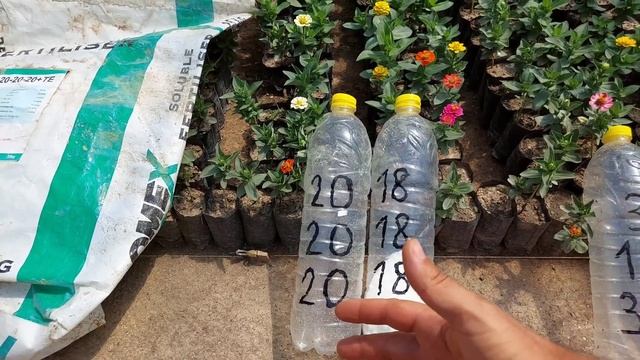 20г ЭТОГО УДОБРЕНИЯ РАЗ В НЕДЕЛЮ ДЛЯ ПЫШНОГО РОСТА КУСТА и ОБИЛЬНОГО ЦВЕТЕНИЯ ПЕТУНИИ ВСЕ ЛЕТО. смотреть онлайн