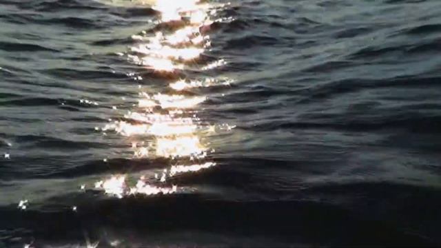 Композитор Шуман, за инструментом - товарищ Мацуев, кто кашлянул - не знаю. смотреть онлайн