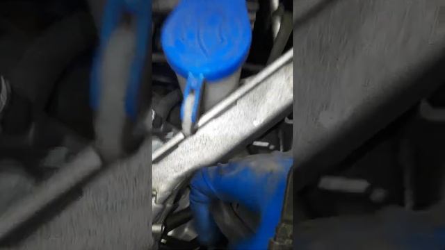 como reemplazar los Focos o Bombillos de los Faros de 2012-2016 Ford Fusion. смотреть онлайн