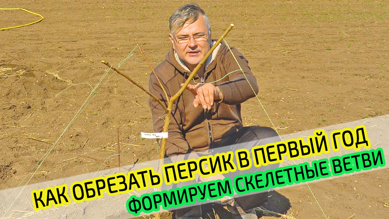 Зеленое Хобби