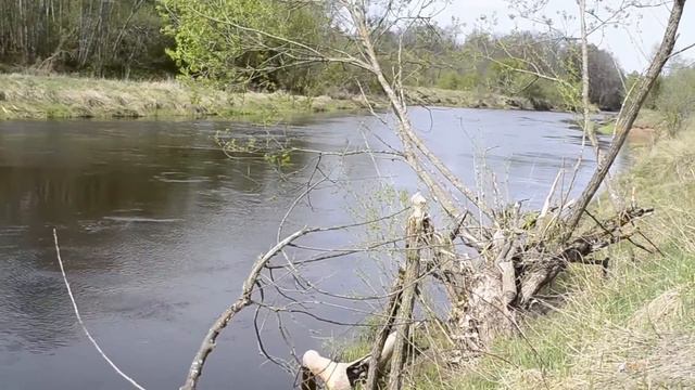 Весенняя река смотреть онлайн
