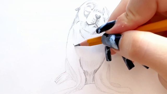 Морские Котики-Жители Южных Широт и Крайнего Севера!Рисуем Карандашом! Легко и Просто! смотреть онлайн