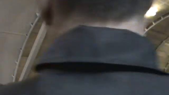 архангельская область, ерцево, исправительная колония строгого режима ( ик-28) смотреть онлайн