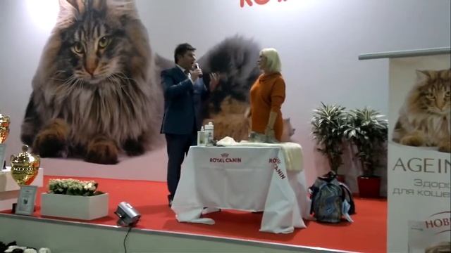 ГРАН-ПРИ ROYAL CANIN 2012 смотреть онлайн