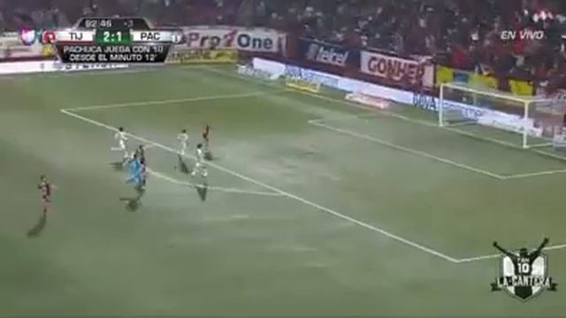 EL PERRO BERMUDEZ LO HIZO OTRA VEZ!!!! смотреть онлайн