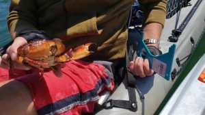 ЛОВЛЯ КРАБОВ.ДОСТАЕМ КРАБОЛОВКУ