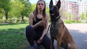 Самый ПРОСТОЙ И БЫСТРЫЙ способ, который отучит собаку тянуть поводок! Секреты дрессировки.