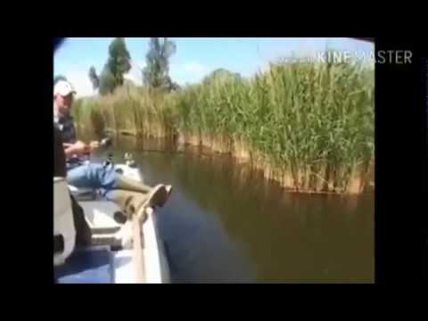 Супер рыбалка смотреть онлайн