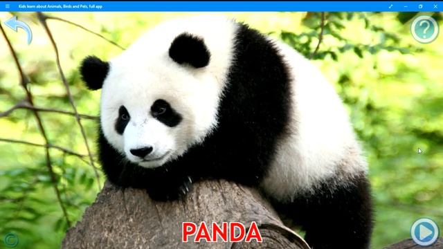The animal sounds app смотреть онлайн