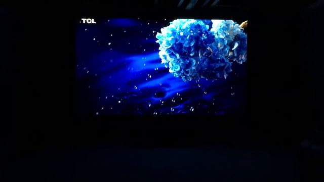 Sony HW40ES Projector Demo 2