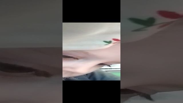 VID_20230405_184515.mp4