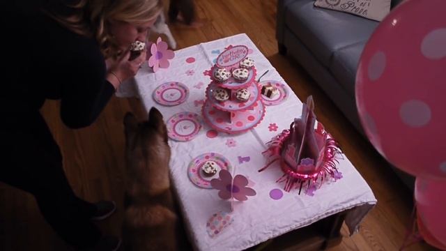 Laika's 1st Birthday Party! смотреть онлайн