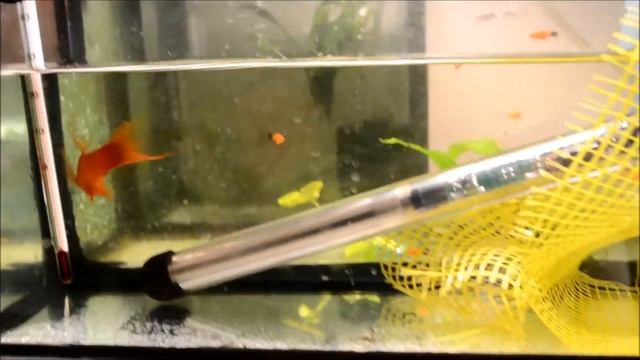 Аэрлифтные фильтры. Принцип работы.